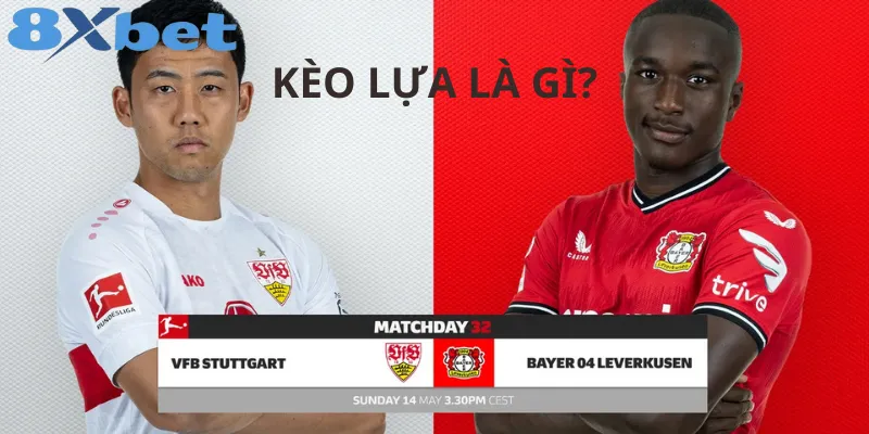 Hướng Dẫn Cách Chọn Kèo Lựa Và Tỷ Lệ Kèo Cược Phổ Biến